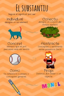 “Què faig” amb l’aplicació de vídeo