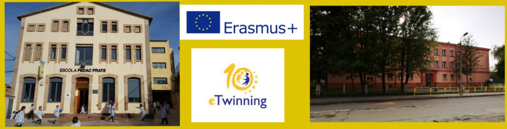 JOB SHADOWING IN ACTION!