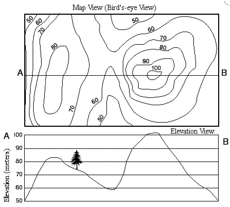 El perfil topogràfic – Labobloc de Biologia i Geologia