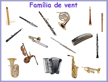 INSTRUMENTS DE VENT