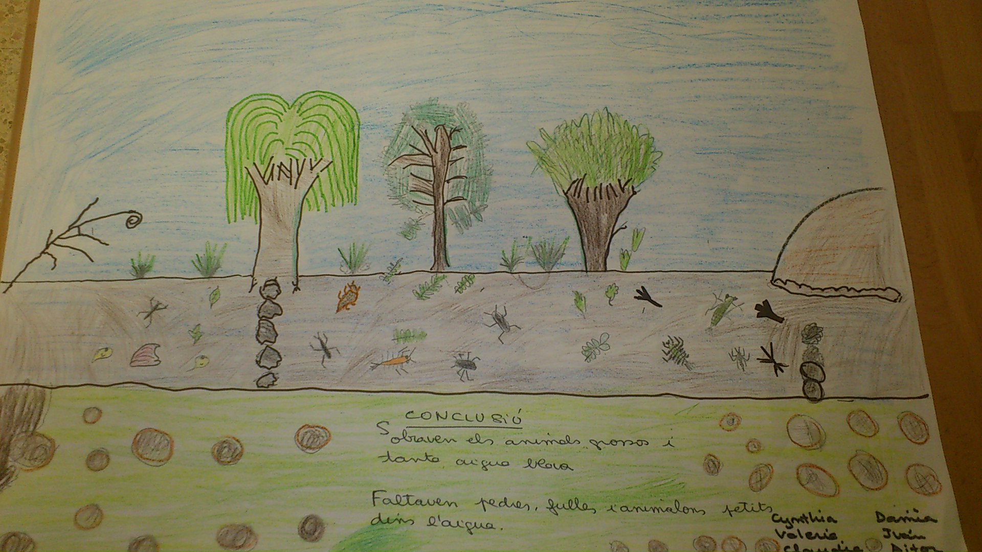 riera5
