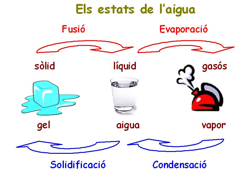 CONEGUEM L'AIGUA | Tercers curs 15/16