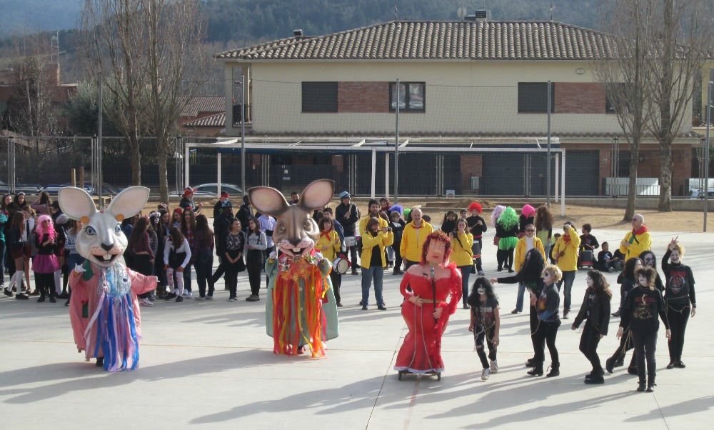 consell bull 3