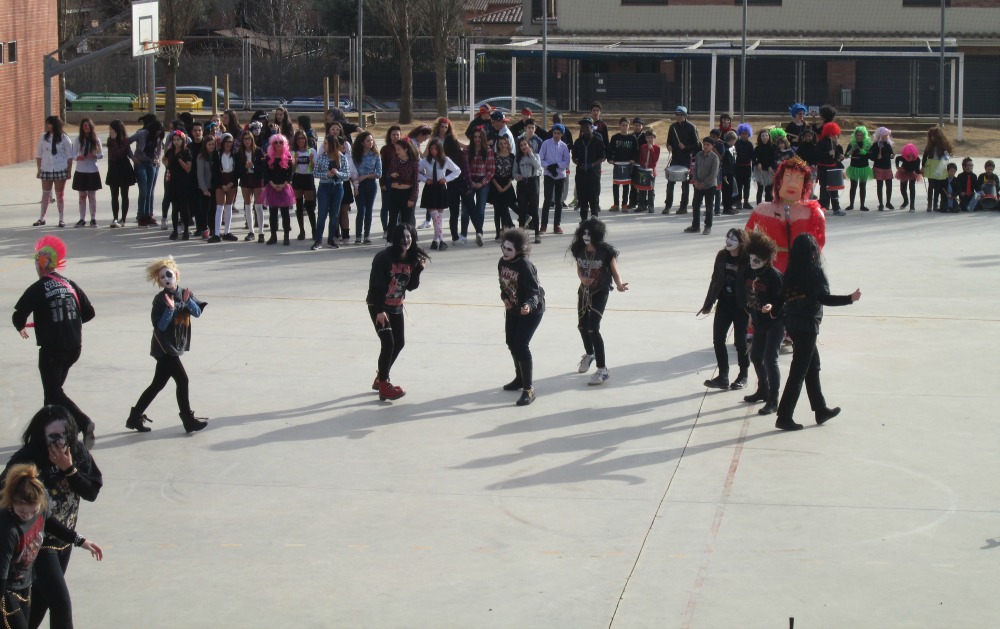 consell bull 4
