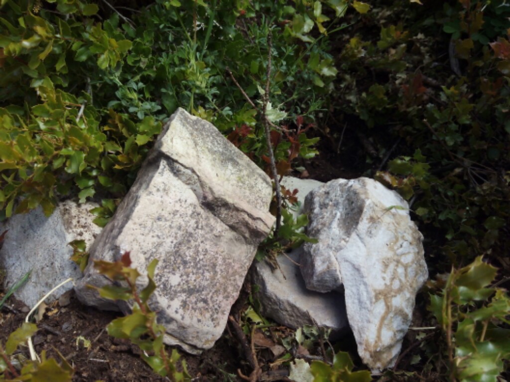 IMG_20160530_111509-1024x768