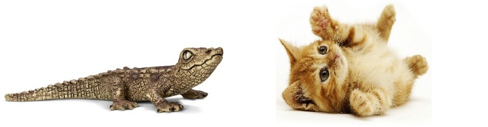 Cocodrils i Gats