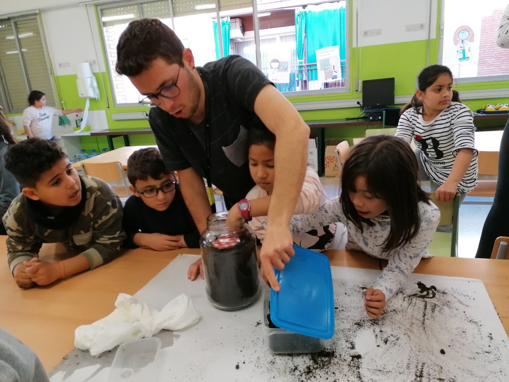 Construcció d'un formiguer