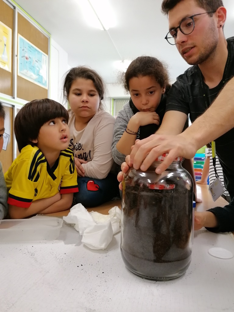 Construcció d'un formiguer