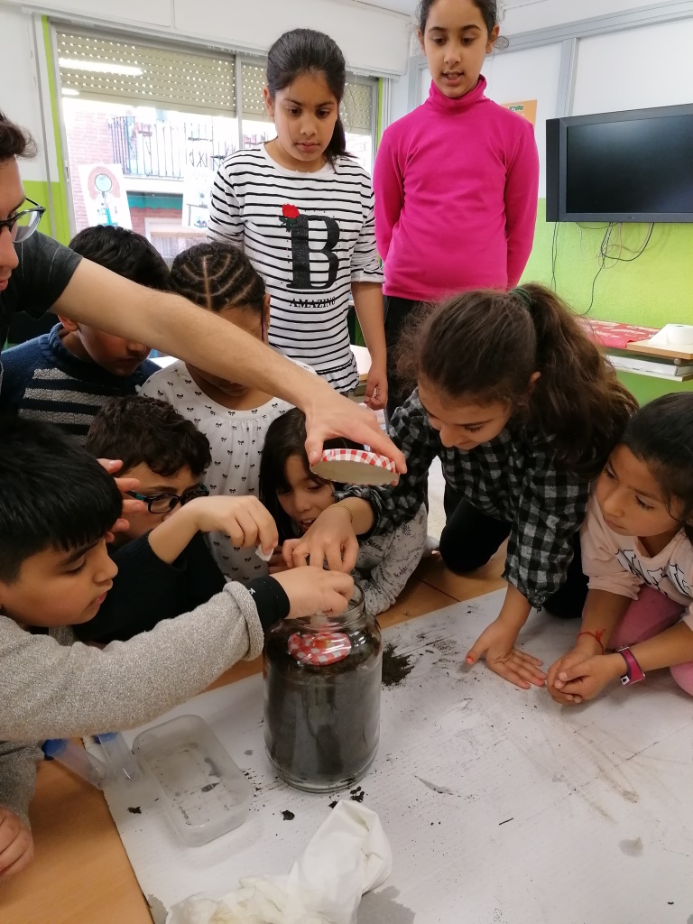 Construcció d'un formiguer