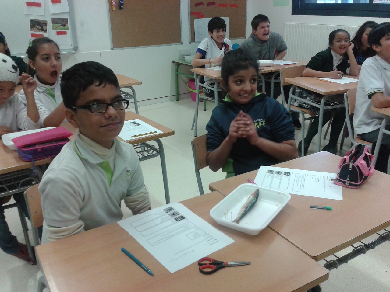 our faces before the sardine 8