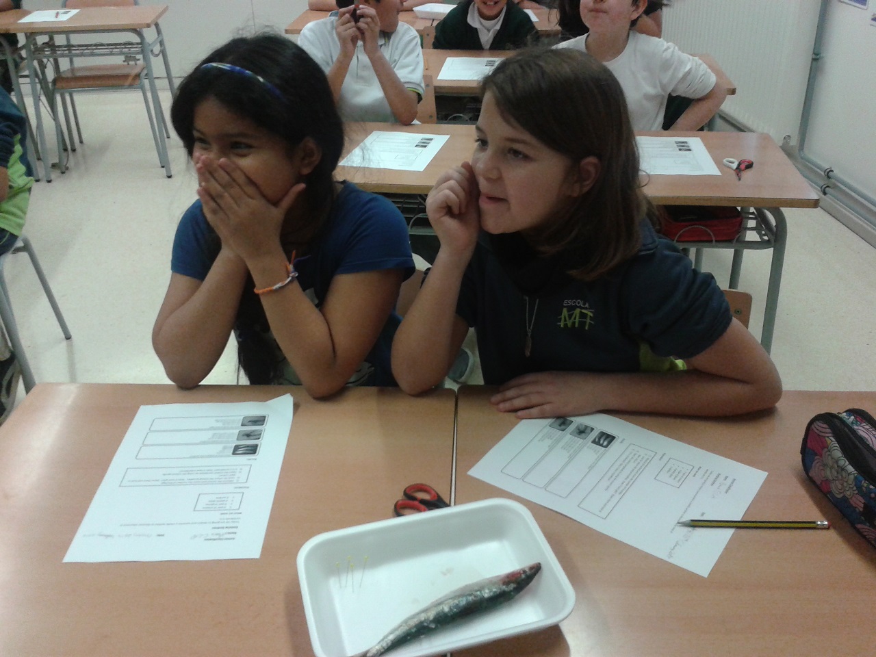 our faces before the sardine 6