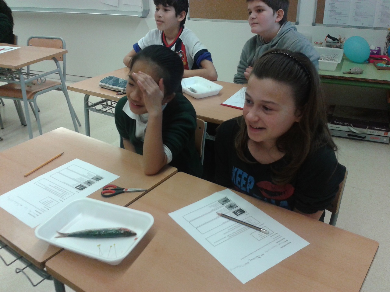 our faces before the sardine 4