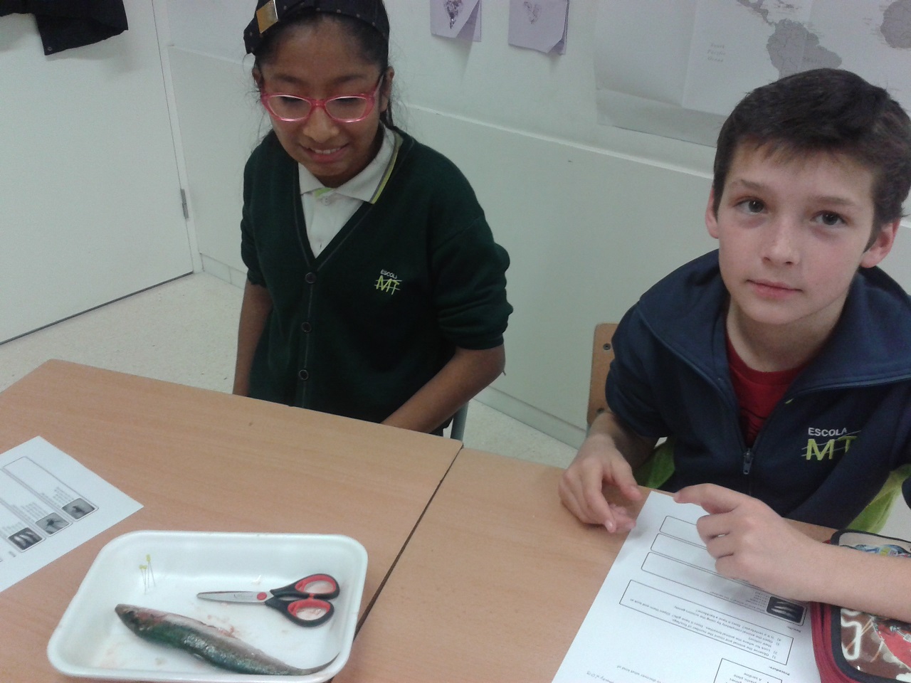 our faces before the sardine 1