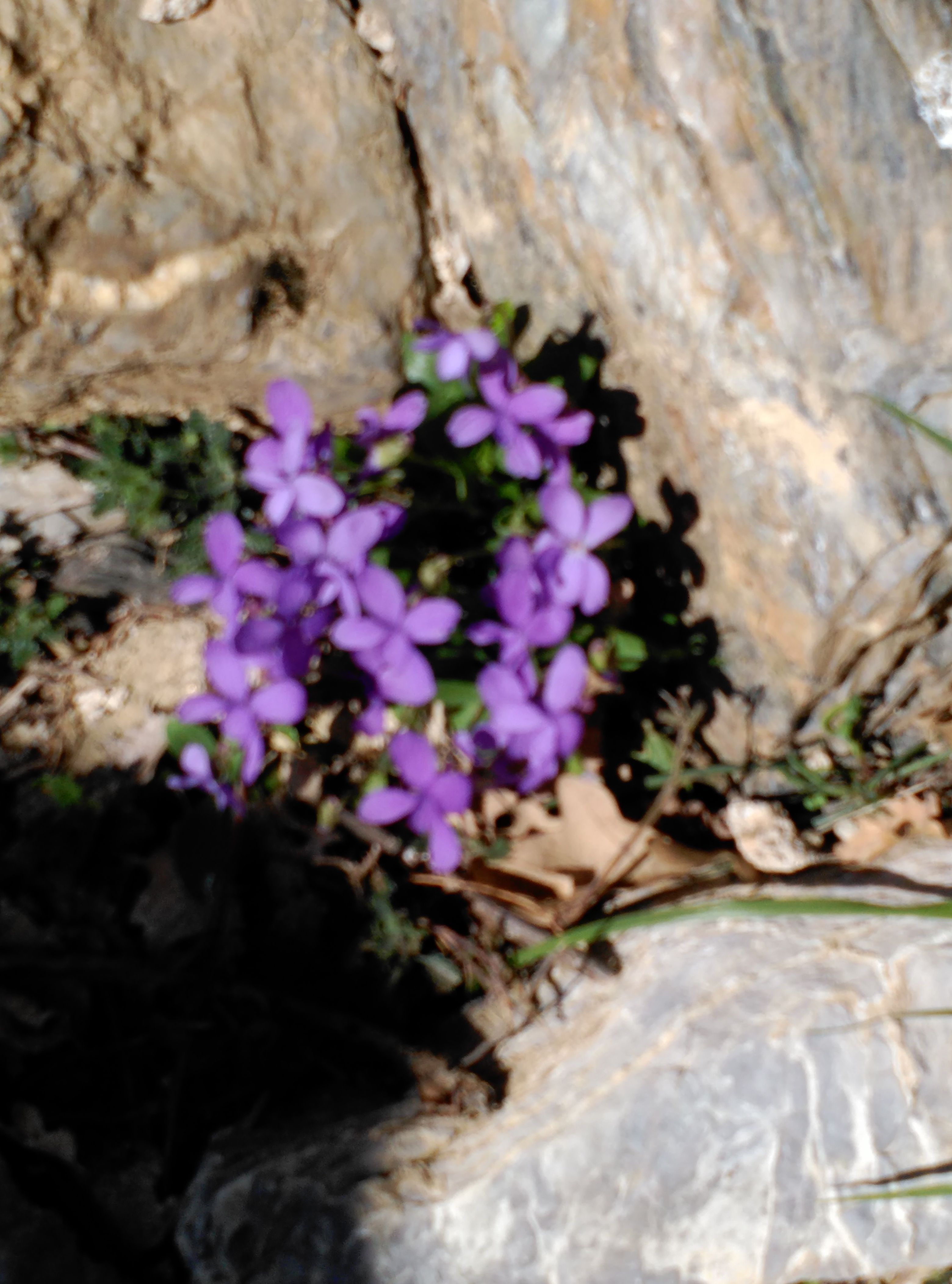 IMG_20180421_121835-compressor