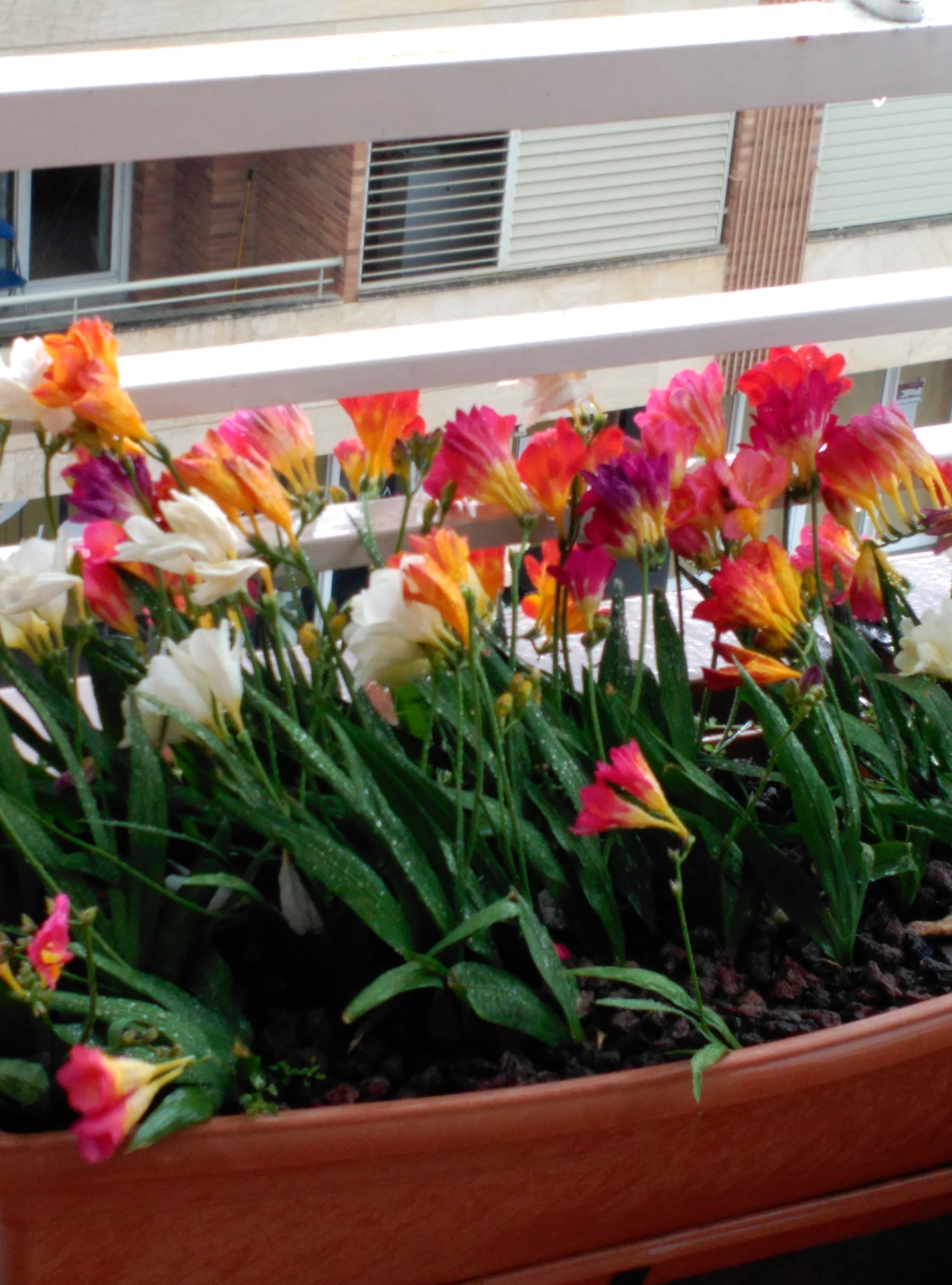 IMG_20180429_152409-compressor