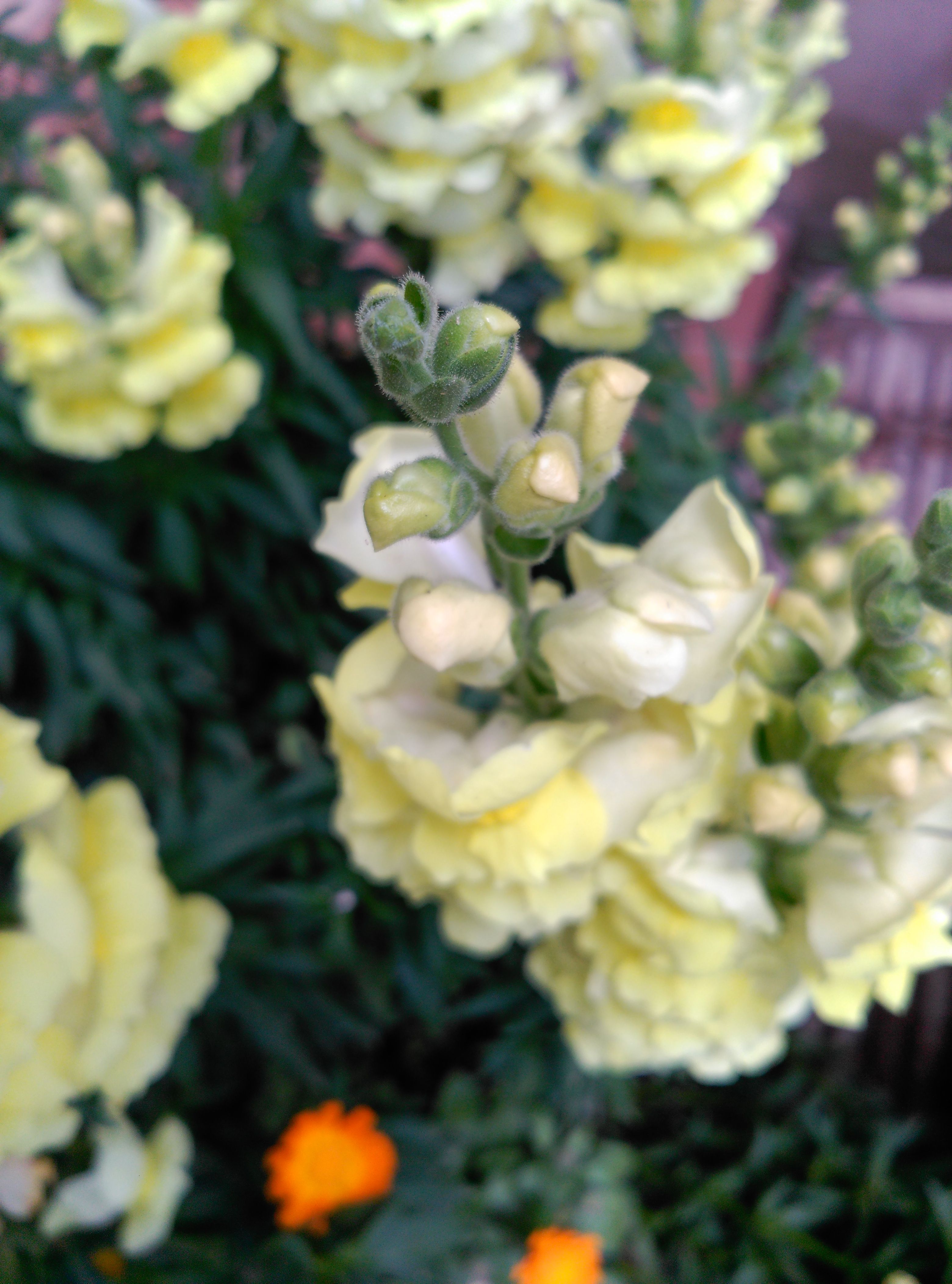 IMG_20180506_134454-compressor