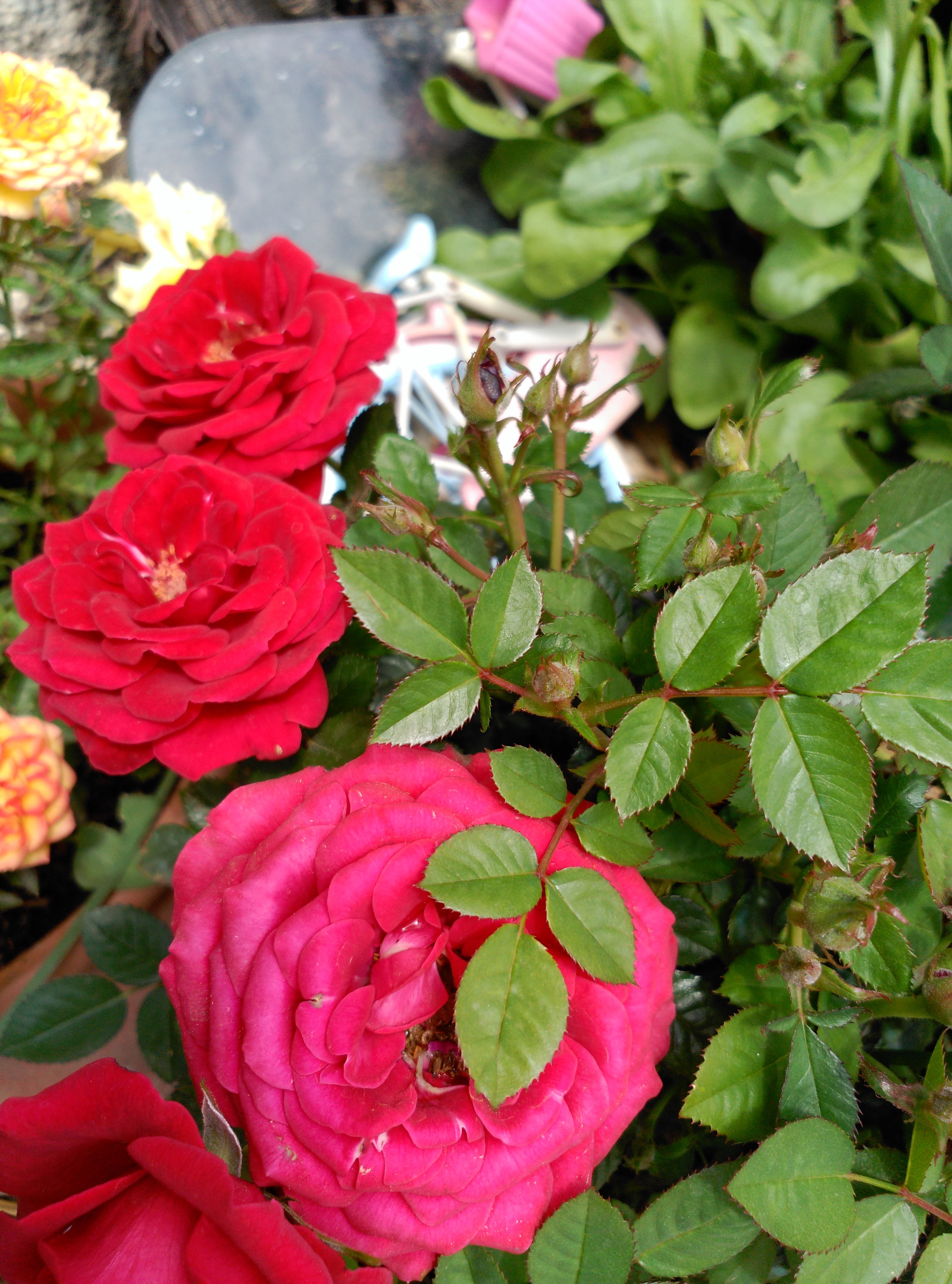 IMG_20180506_134710-compressor