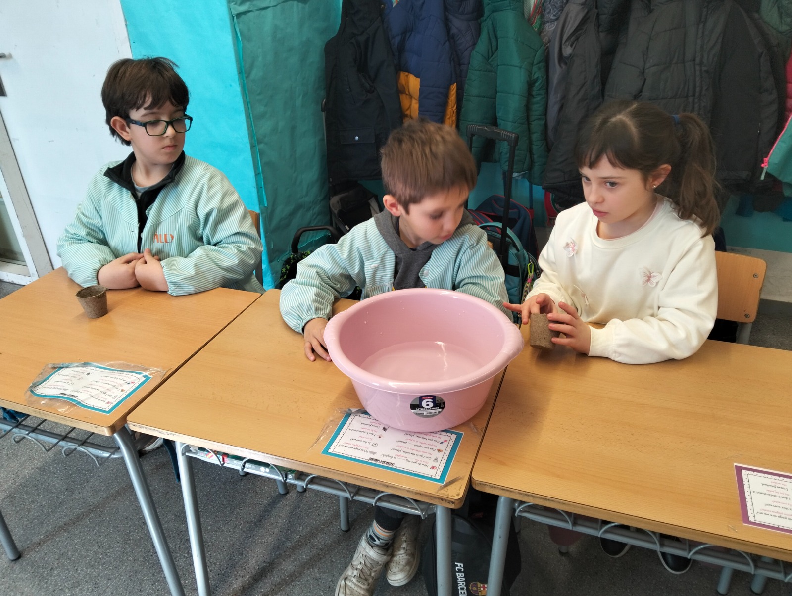 vida, terra i arrels (3)