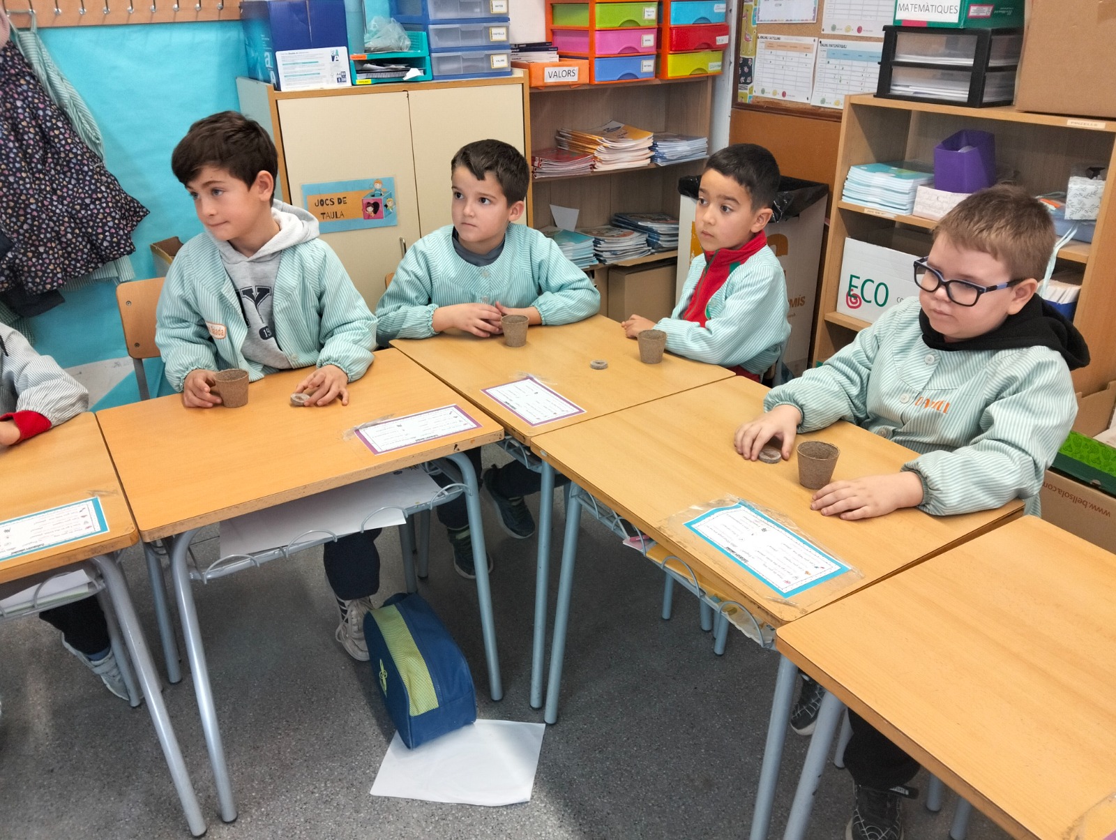 vida, terra i arrels (4)