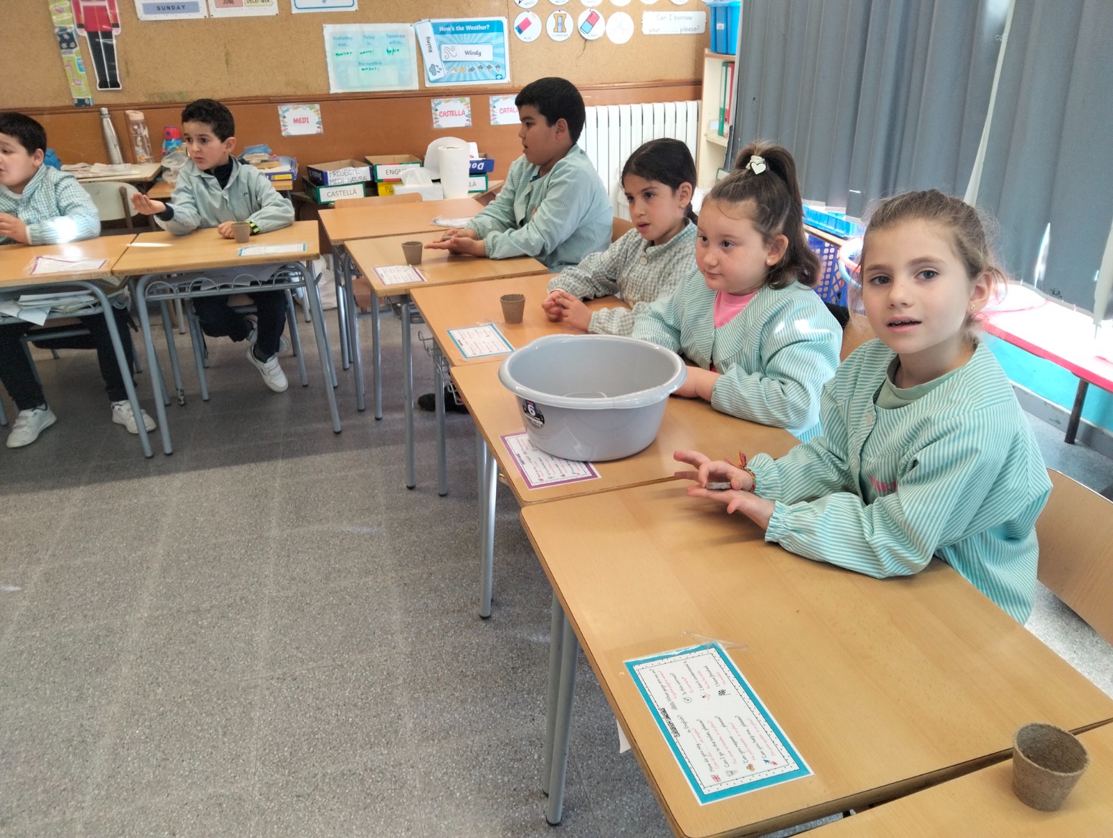 vida, terra i arrels (5)