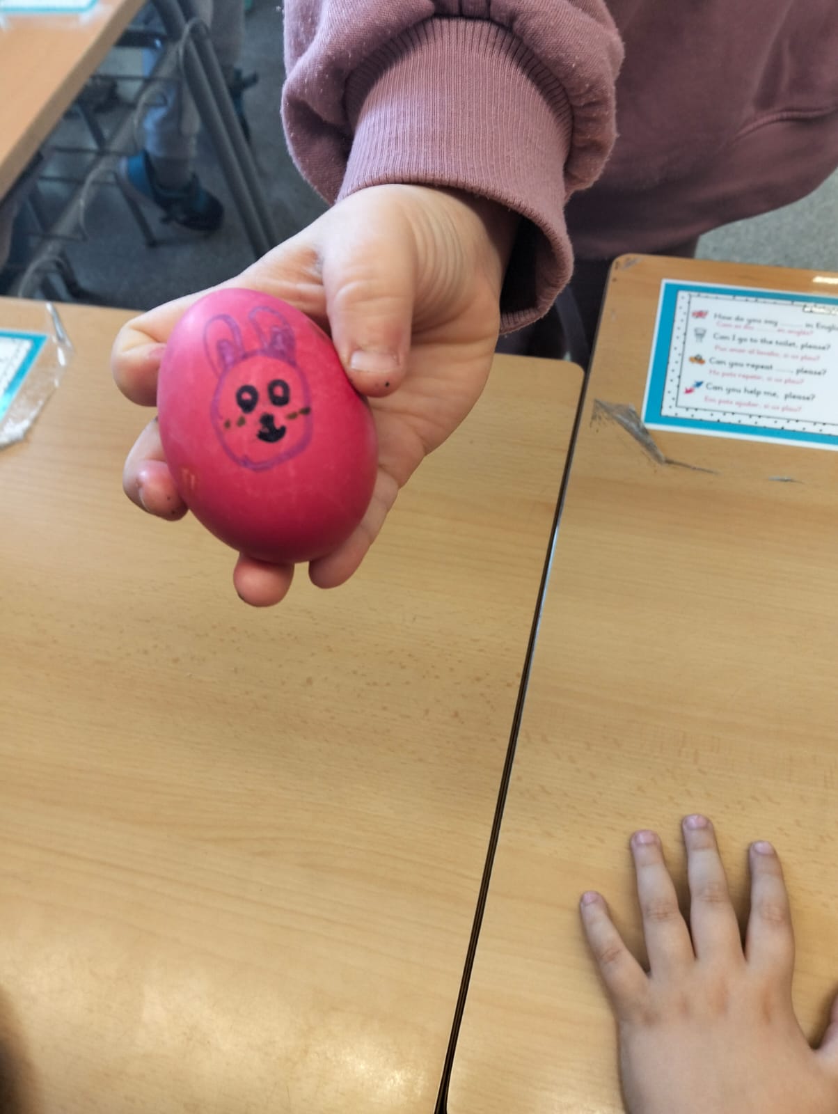 WhatsApp Image 2026-03-24 at 12.43.59 (1)