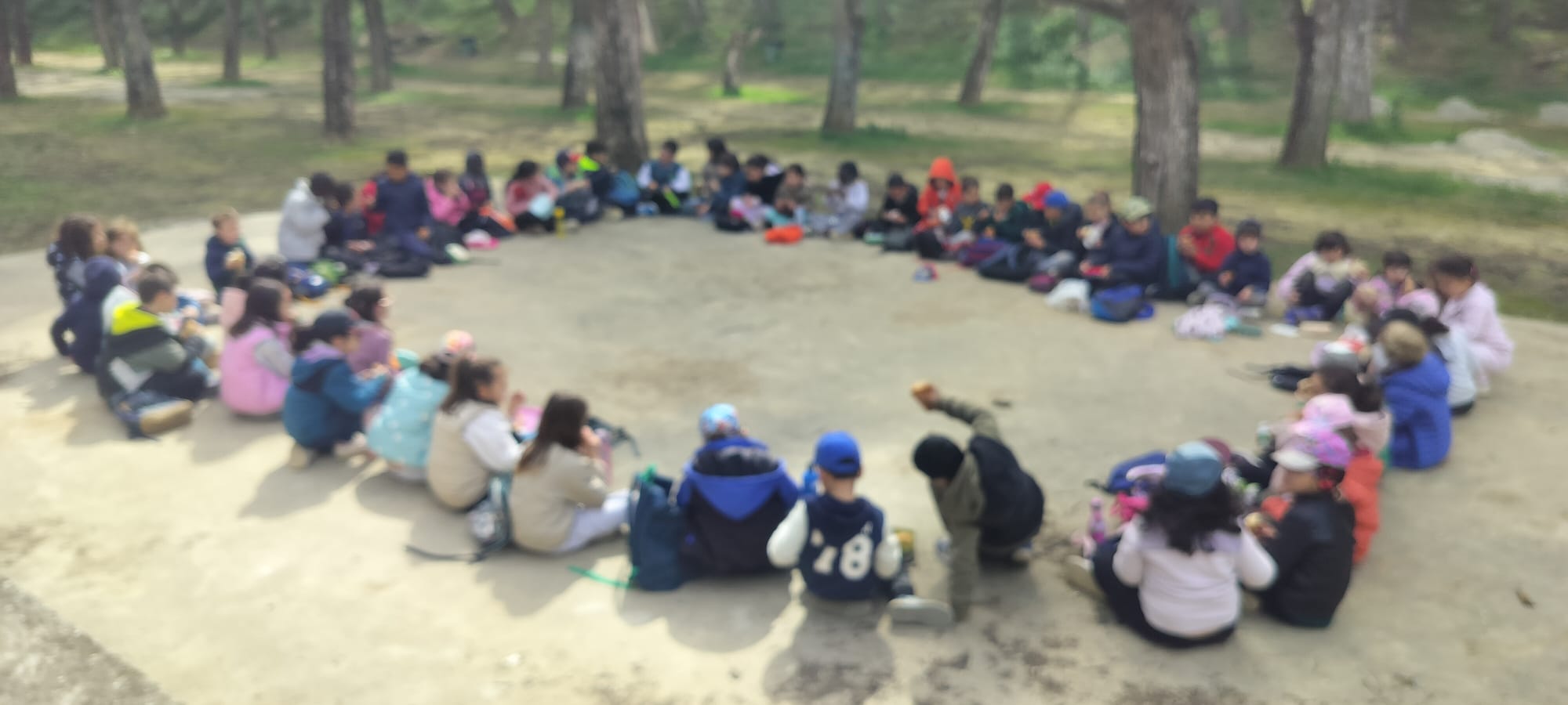 WhatsApp Image 2026-03-27 at 18.40.34