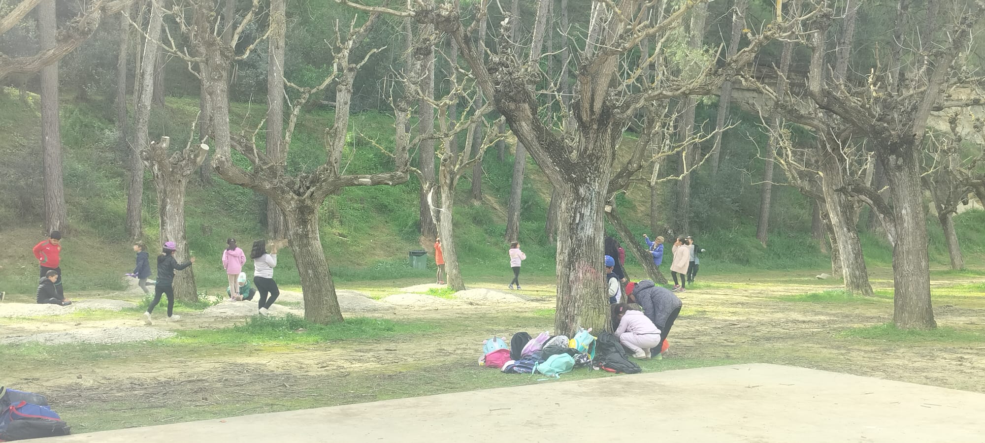 WhatsApp Image 2026-03-27 at 18.40.35 (1)