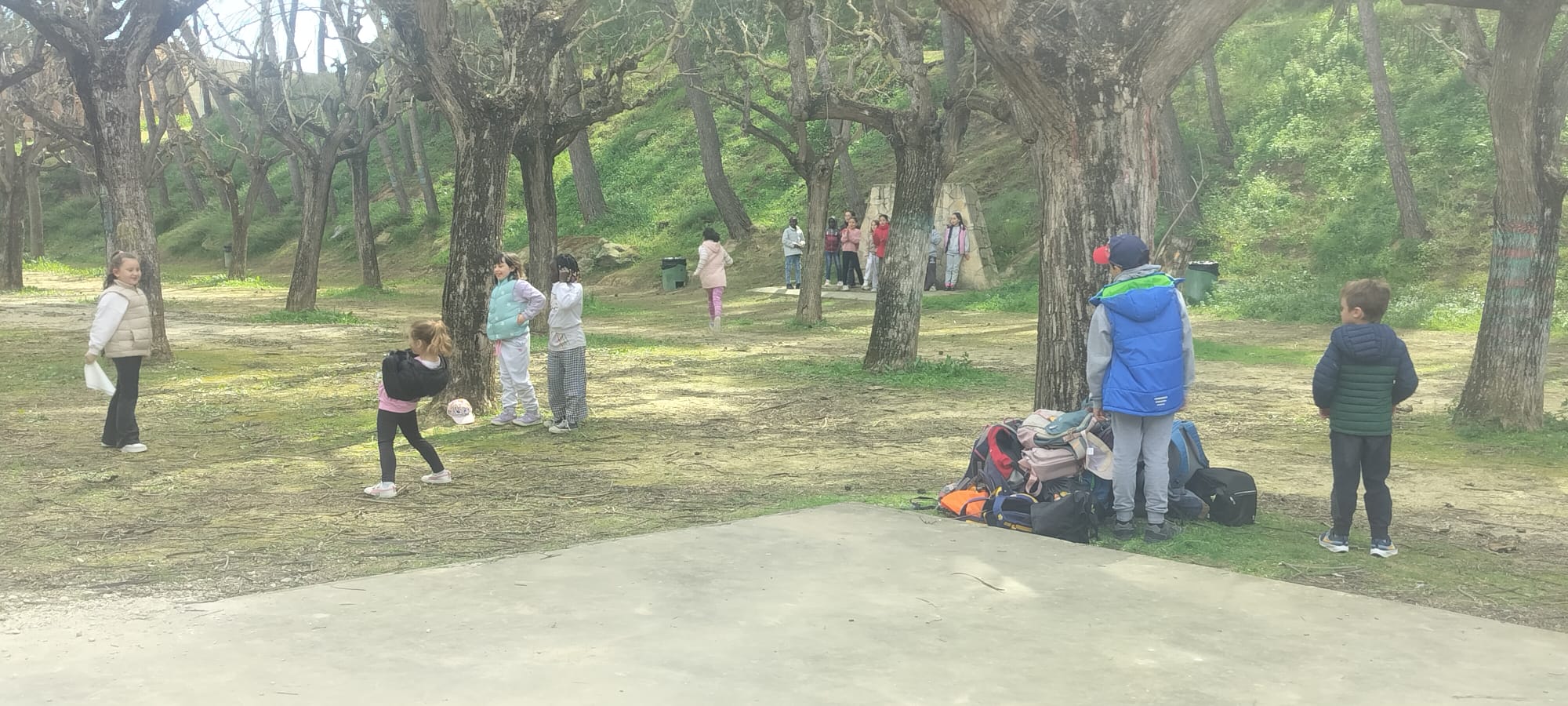 WhatsApp Image 2026-03-27 at 18.40.35