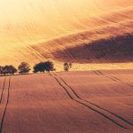 La literatura a través del tiempo_recursos