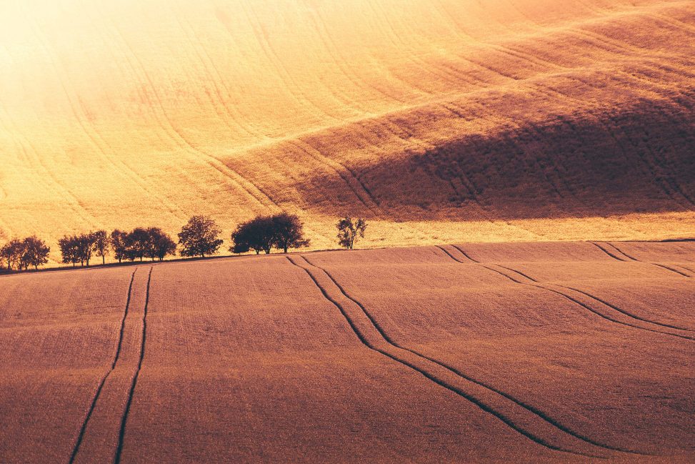 La literatura a través del tiempo_recursos