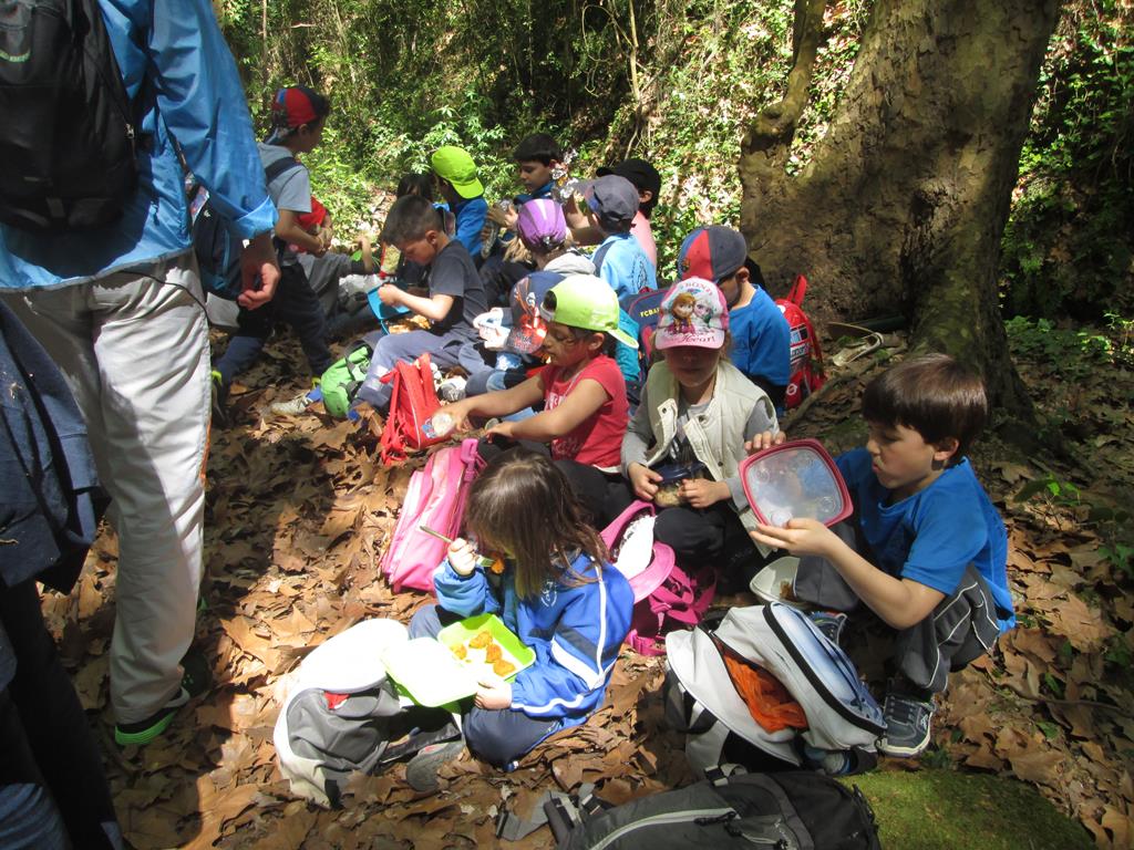 IMG_2733 (Copy)