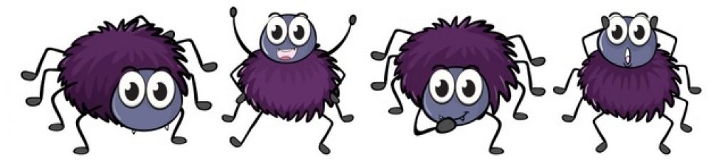 LA CLASSE DE LES ARANYES