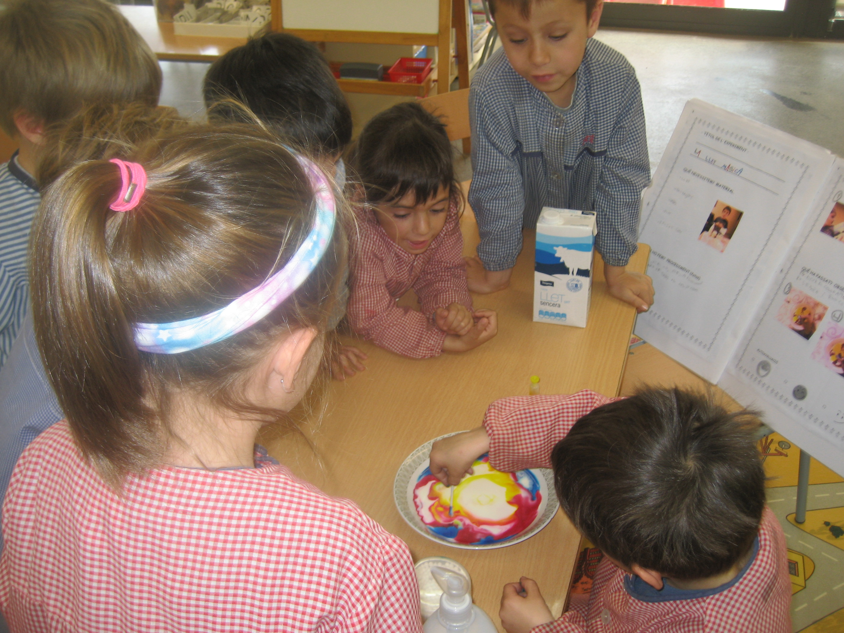 Experiment Adrià (12)