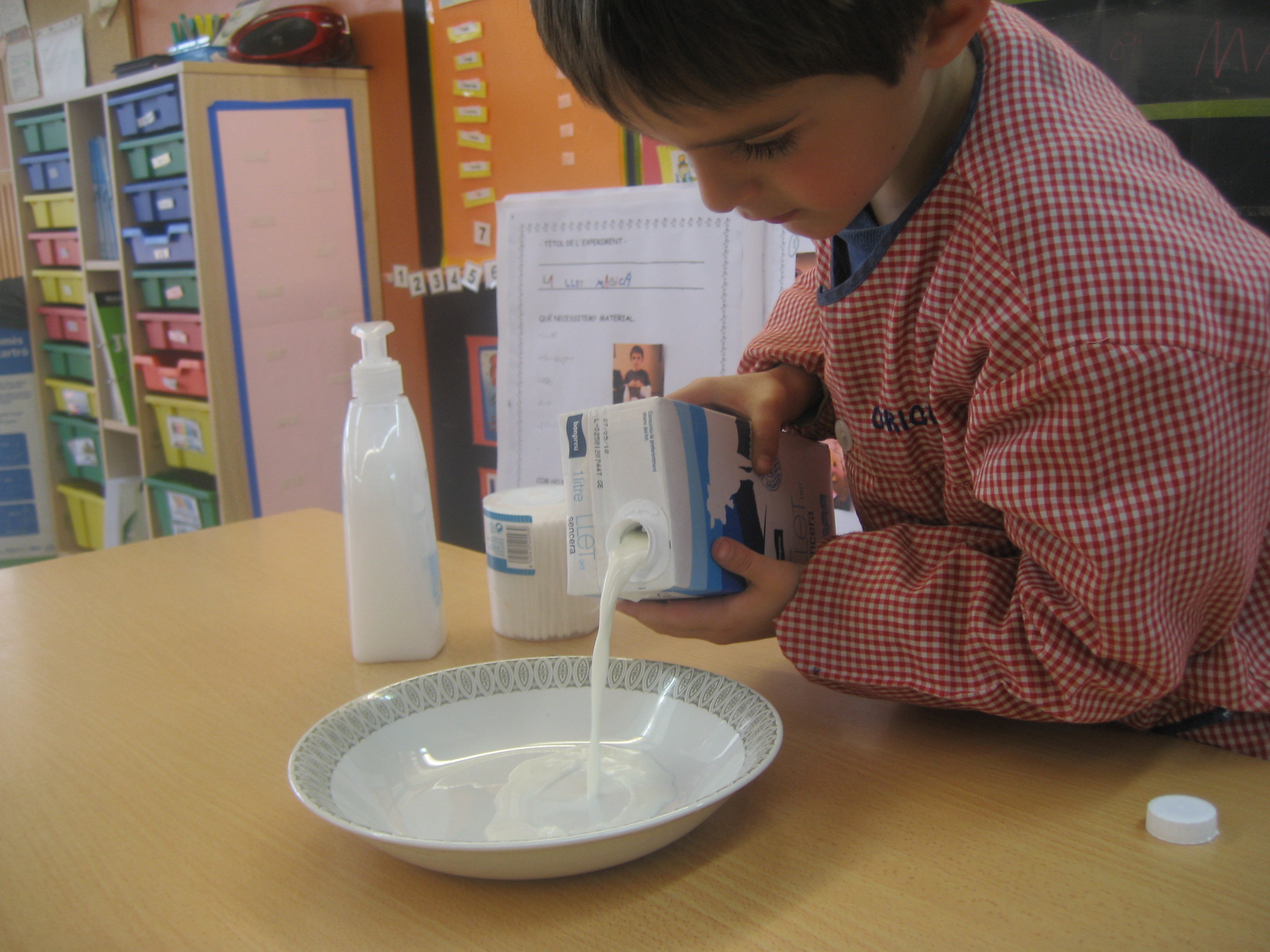 Experiment Adrià (3)