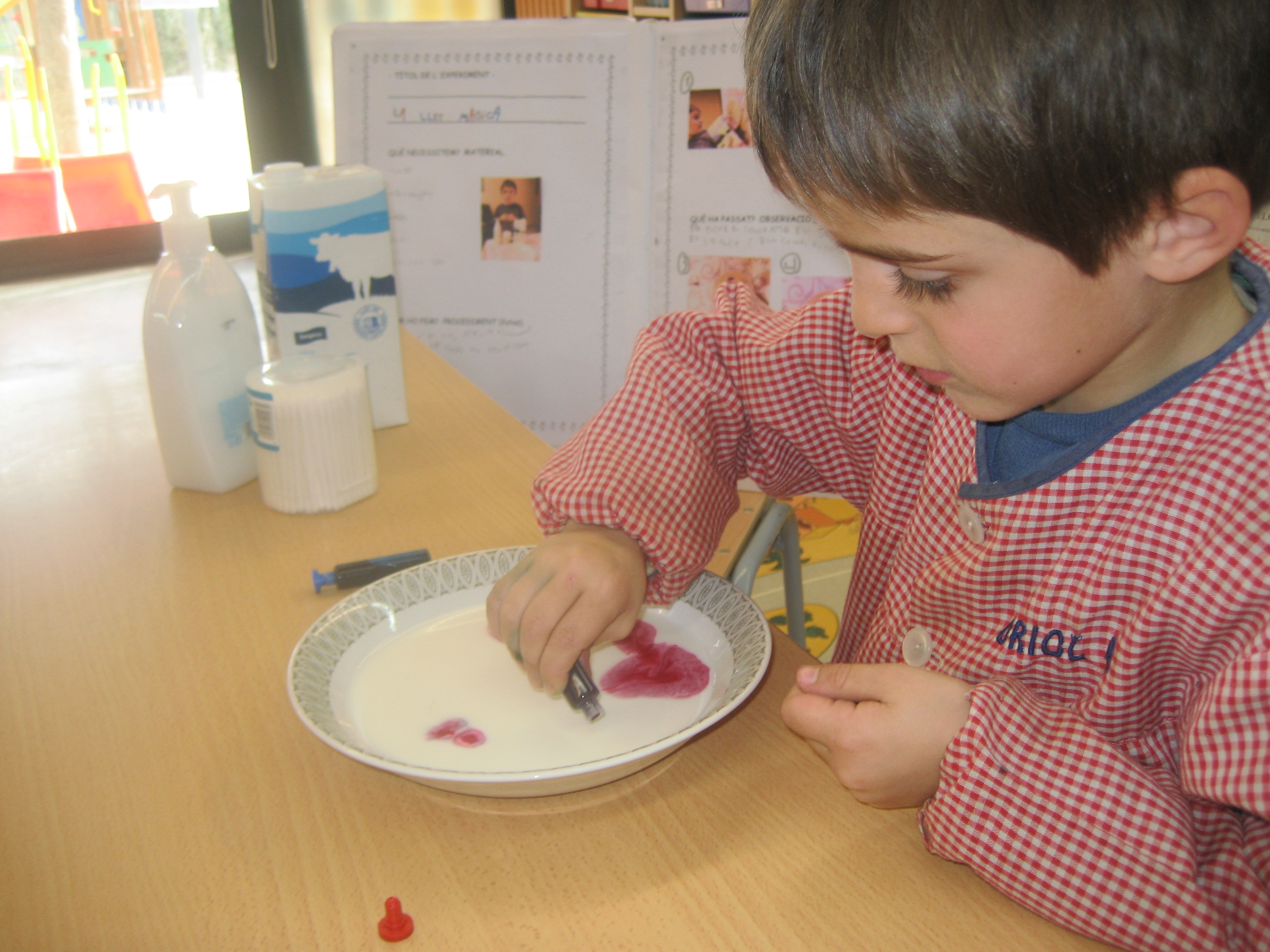 Experiment Adrià (4)