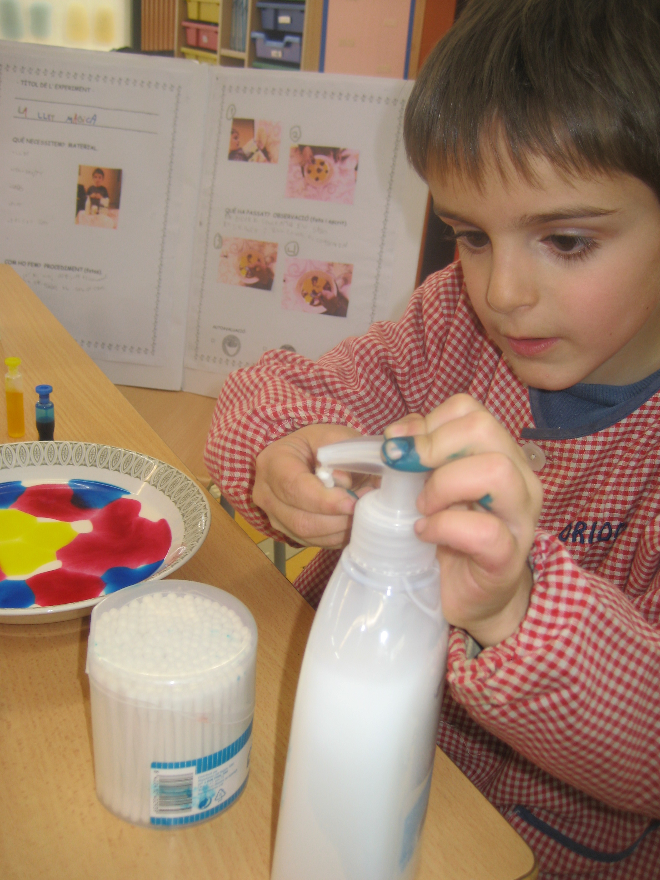 Experiment Adrià (8)