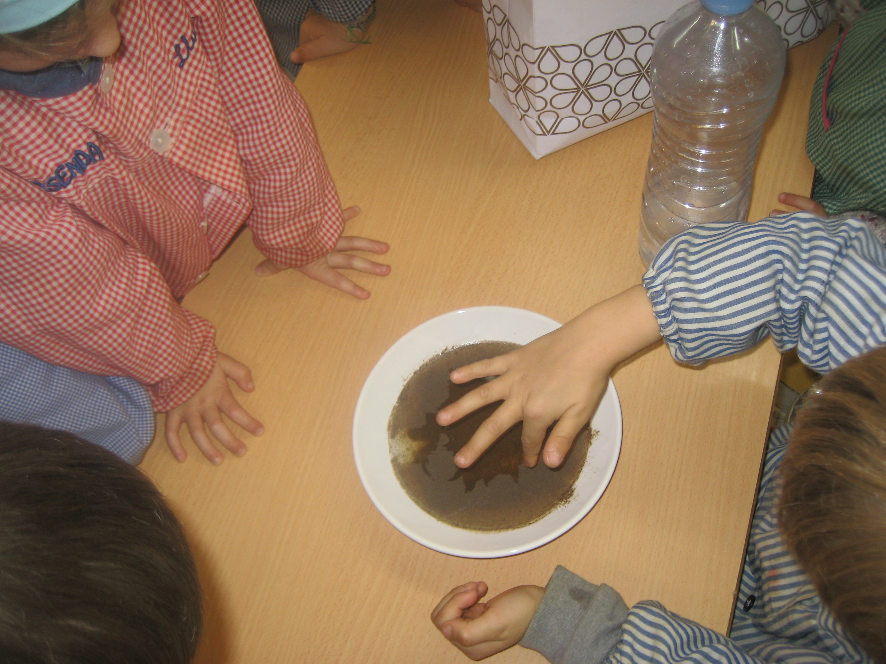 experiment Sergi (9)