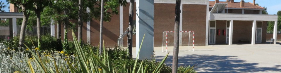 Escola Pax- Educació Física