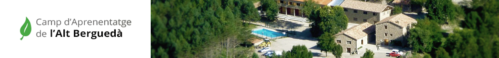 Plantilla CDA