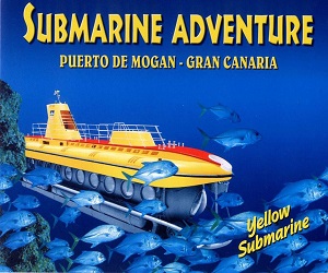 Tiquet per viatjar en submarí