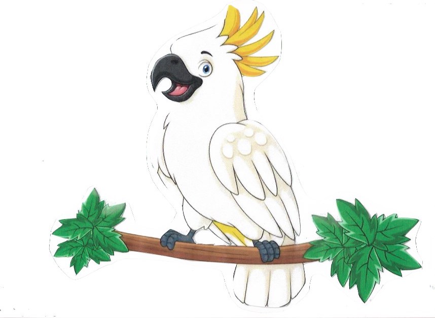 CACATUA