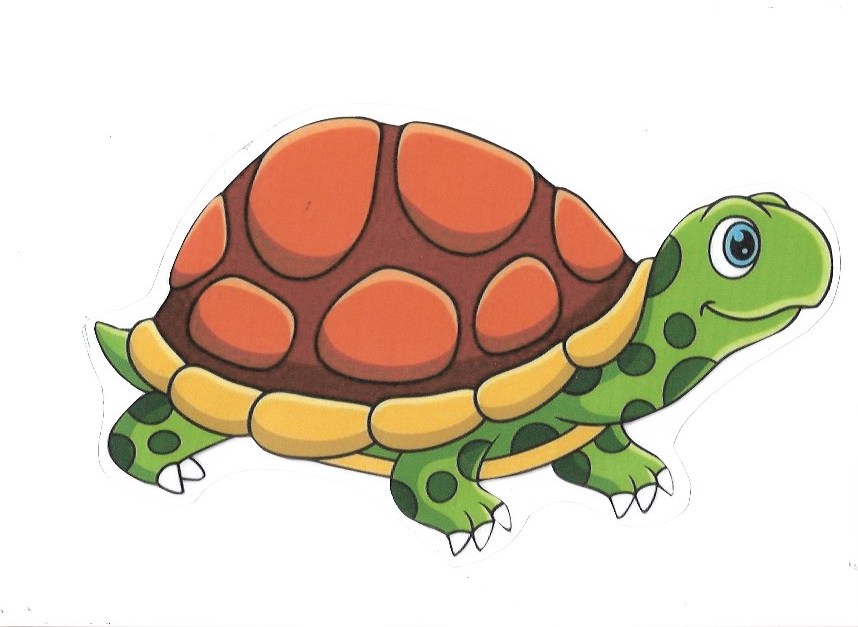 TORTUGA