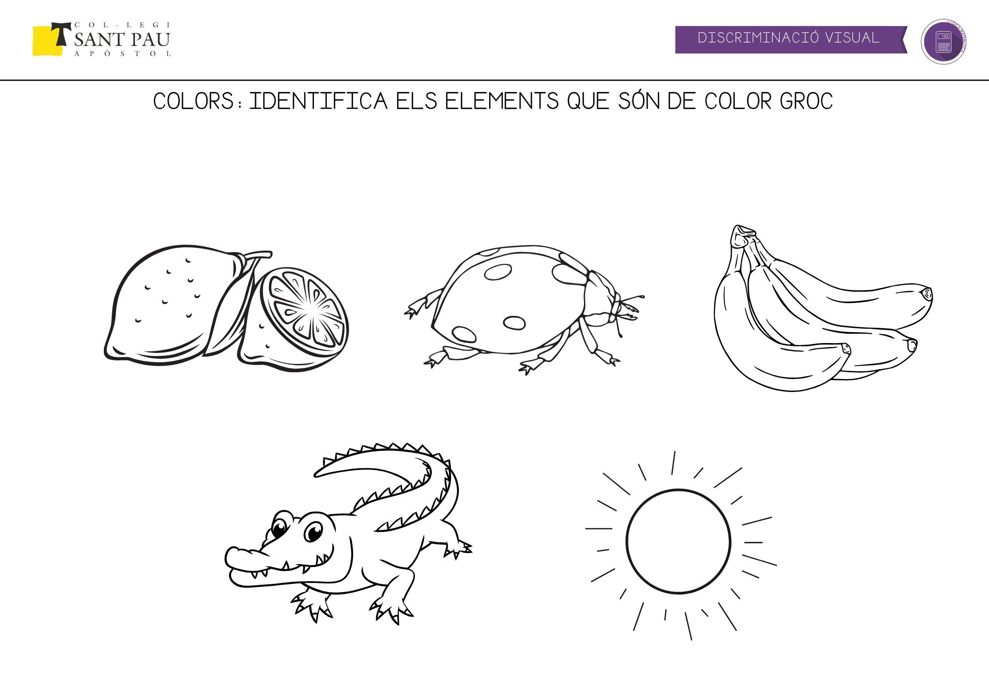 identifica els elements de color groc
