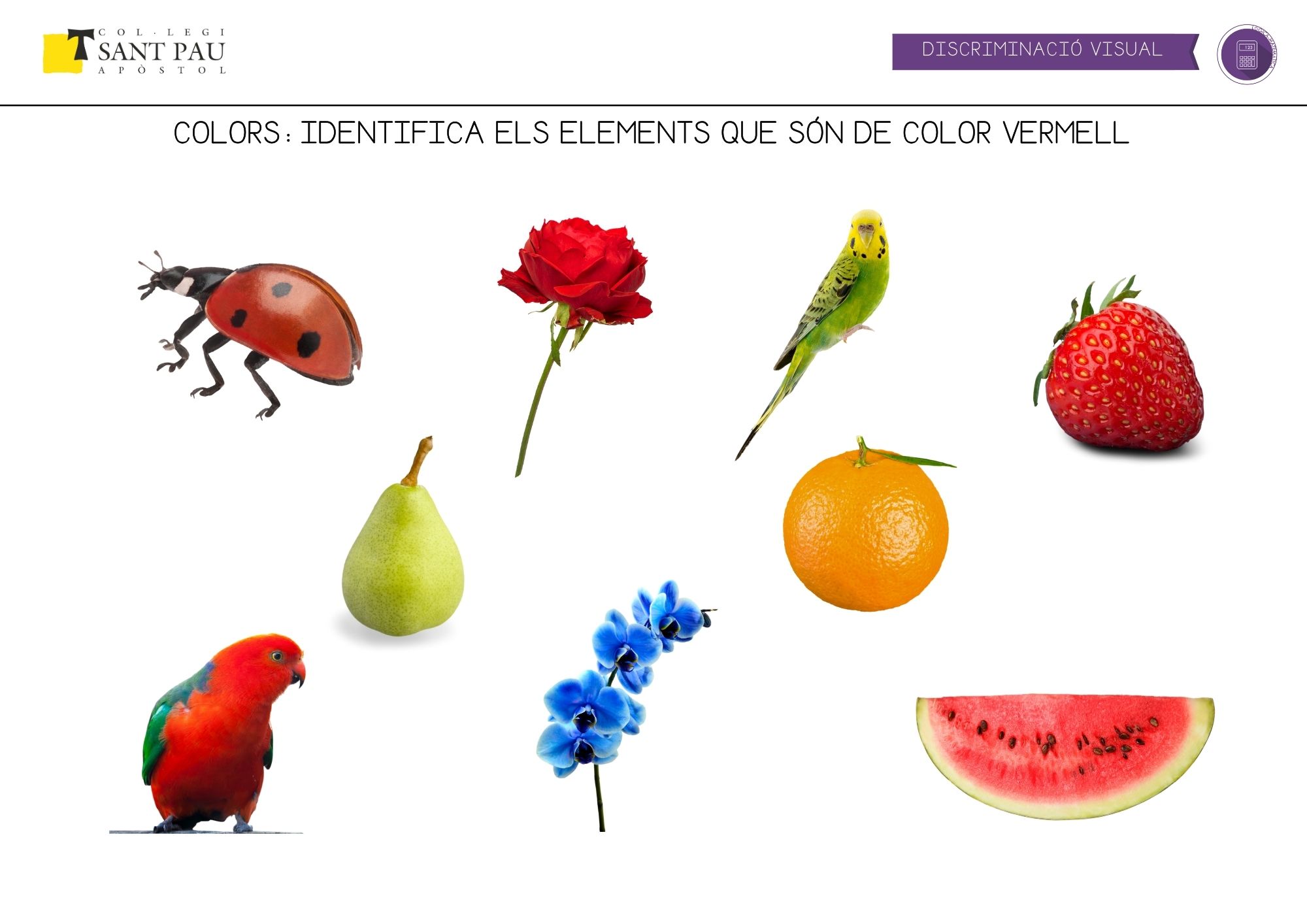 selecciona les imatges que siguin vermelles