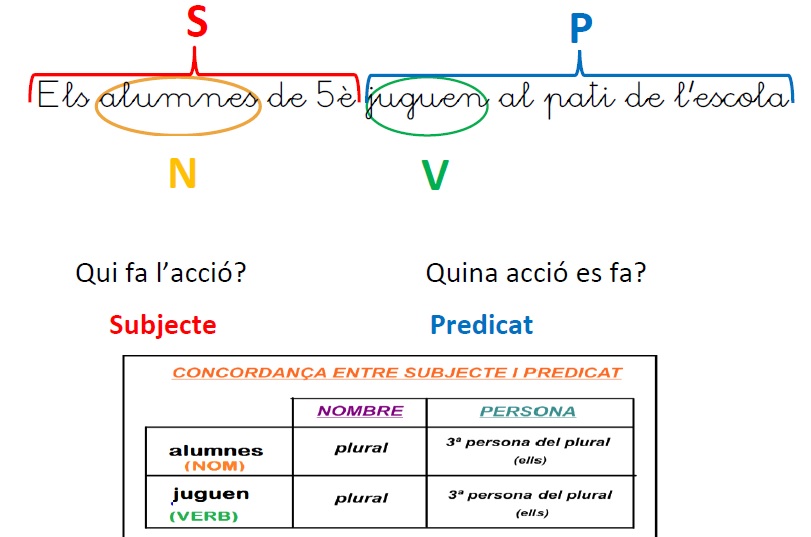 CATALÀ | Isabel Besora – Educació Primària