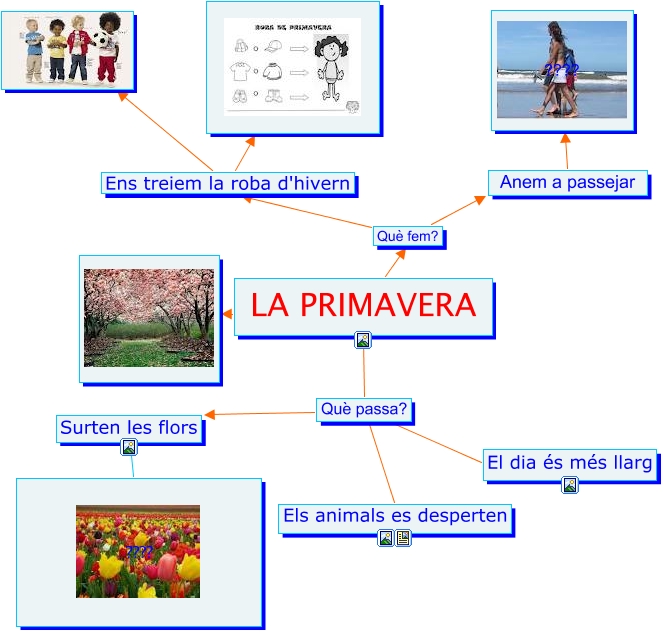 TASCA 2 | primavera jor