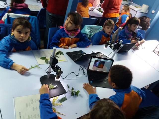 excursio2n (3)