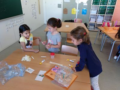 a4_opt