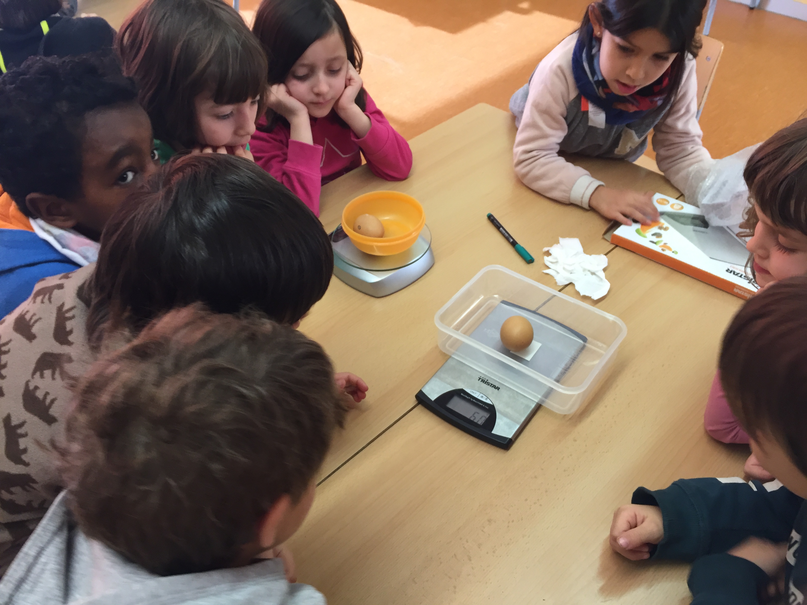 Escola Fructuós Gelabert