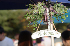 22584823172_bfacce6820_m